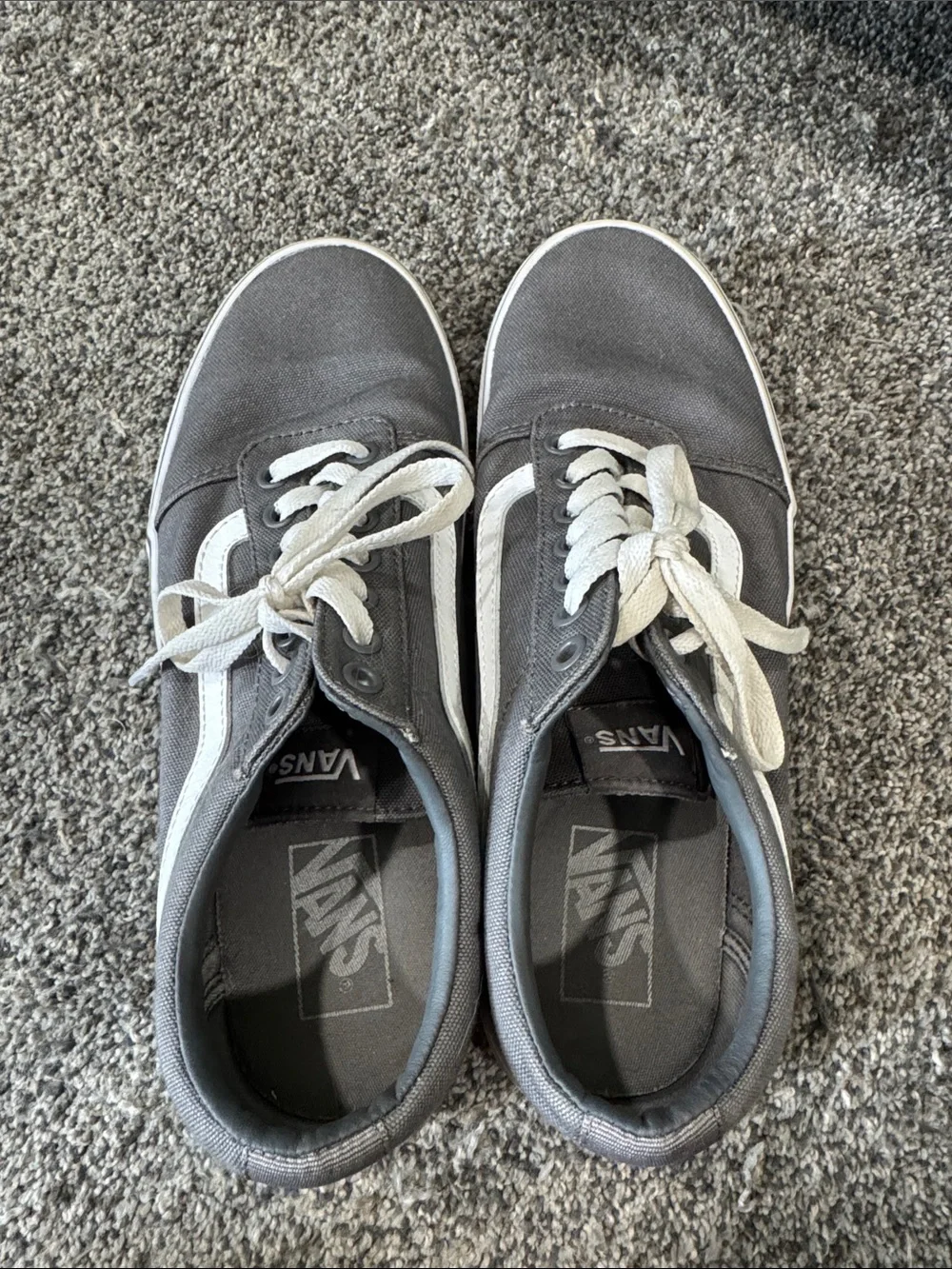 Vans everyday canvas worn
