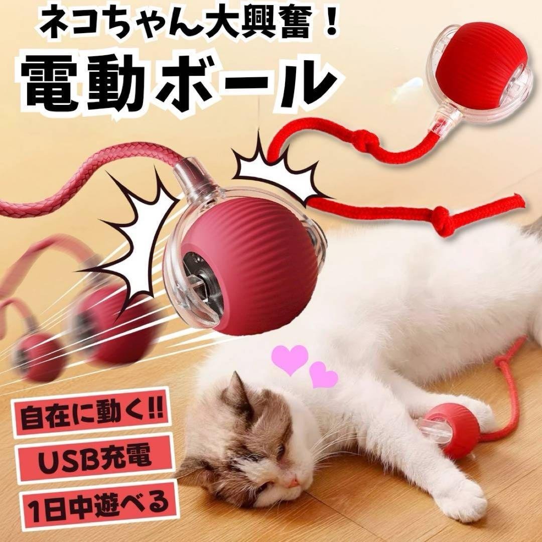 Cat Dog Toy Electric Automatic Ball Cat Teaser USB Rechargeable Light-up Cat Teaser